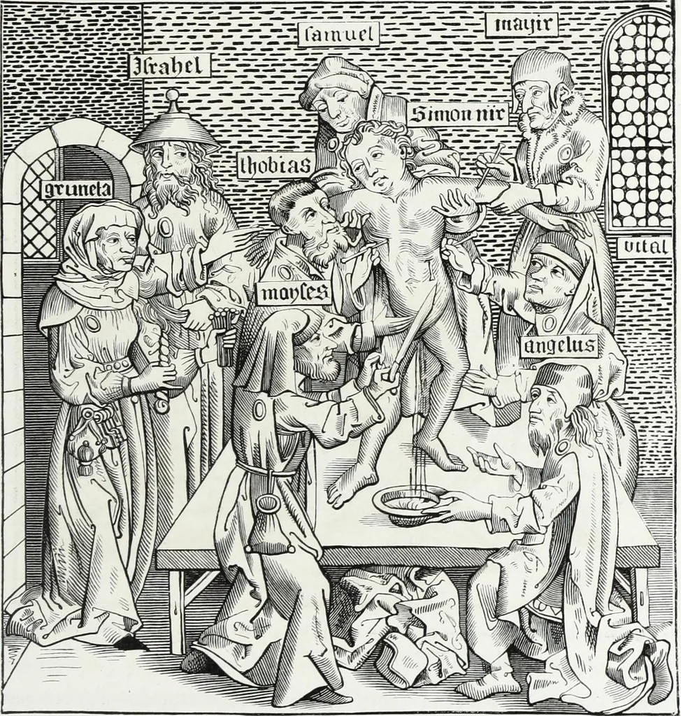 An illustration from Mœurs, usages et costumes au moyen âge et à l'époque de la renaissance, 1872, leaf 512