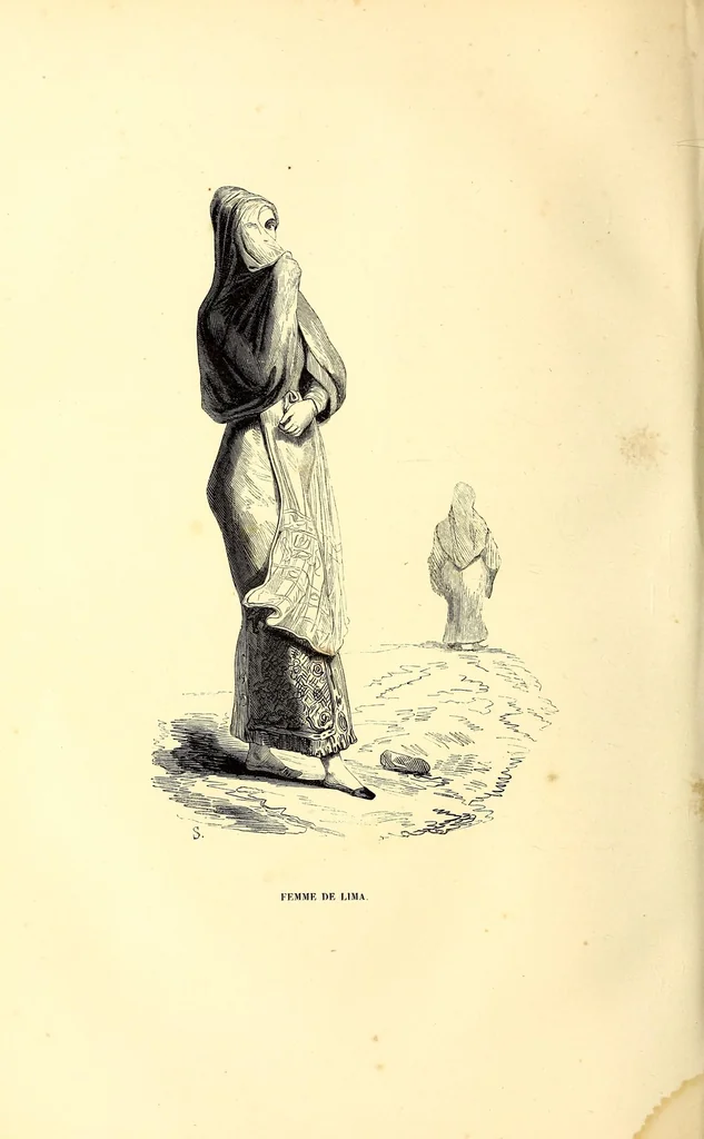 An illustration from Murs, usages et costumes de tous les peuples du monde, d'après des documents and authentiques et les voyages des plus récents;, 1843, leaf 230