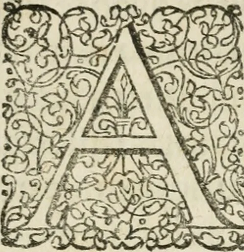 An illustration from Musaeum hermeticum, reformatum et amplificatum : omnes sopho-spagyricae artis discipulos fidelissimè erudiens, quo pacto summa illa veraque lapidis philosophici medicina, qua res omnes qualemcunque defectum patientes, instaurantur, inveniri & haberi queat : continens tractatus chimicos XXI. praestantissimos .., 1678, leaf 14