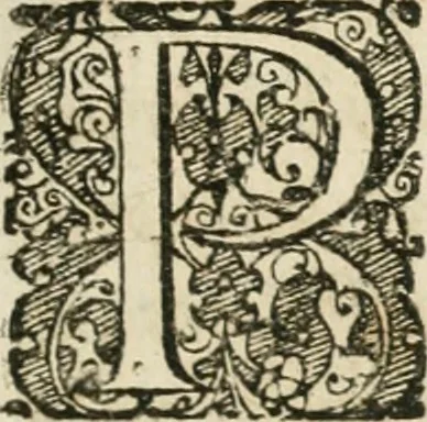 An illustration from Musaeum hermeticum, reformatum et amplificatum : omnes sopho-spagyricae artis discipulos fidelissimè erudiens, quo pacto summa illa veraque lapidis philosophici medicina, qua res omnes qualemcunque defectum patientes, instaurantur, inveniri & haberi queat : continens tractatus chimicos XXI. praestantissimos .., 1678, leaf 396