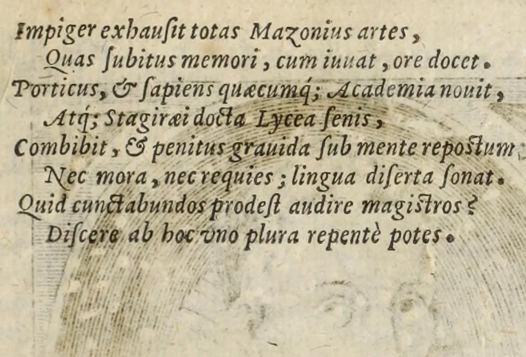 An illustration from Musaeum historicum et physicum, 1640, leaf 155