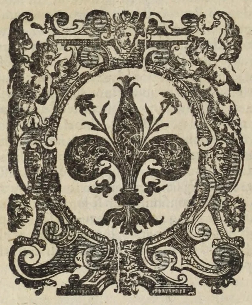 An illustration from Musaeum historicum et physicum, 1640, leaf 228
