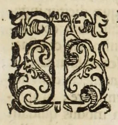 An illustration from Musaeum historicum et physicum, 1640, leaf 241