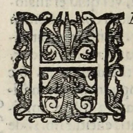 An illustration from Musaeum historicum et physicum, 1640, leaf 264