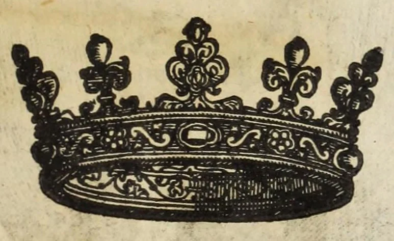 An illustration from Musaeum historicum et physicum, 1640, leaf 27