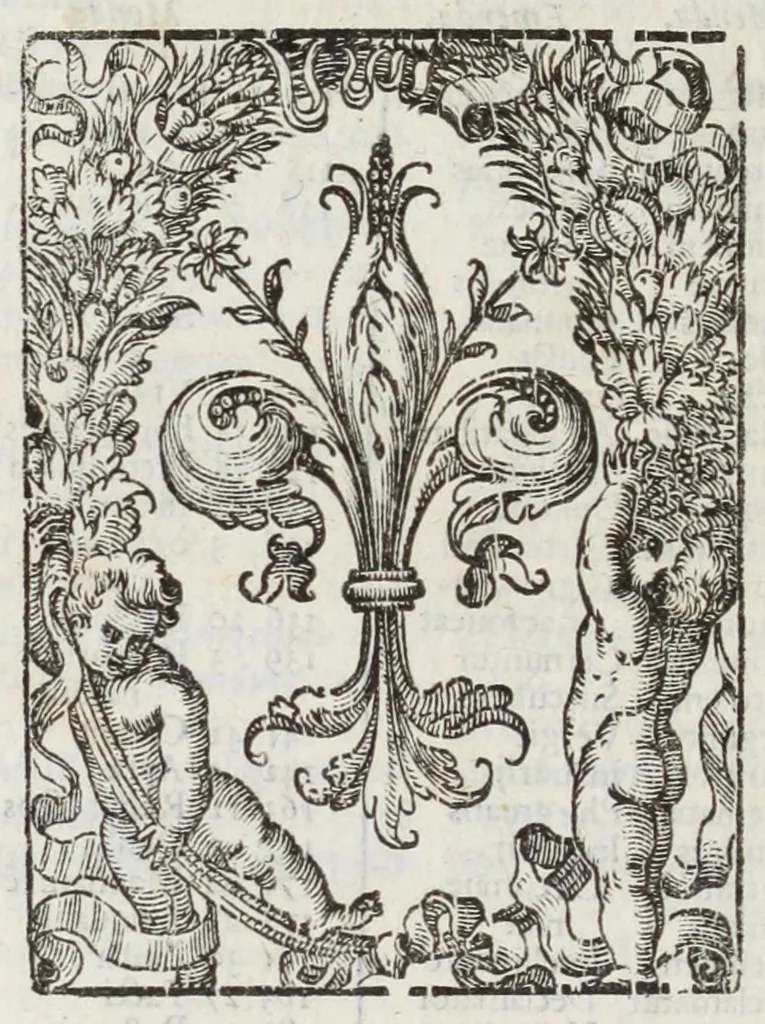 An illustration from Musaeum historicum et physicum, 1640, leaf 478