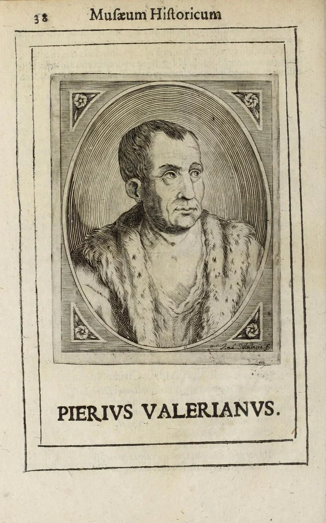An illustration from Musaeum historicum et physicum, 1640, leaf 54