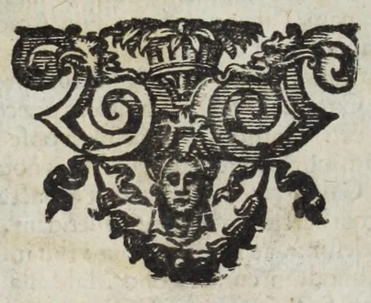 An illustration from Musaeum historicum et physicum, 1640, leaf 72
