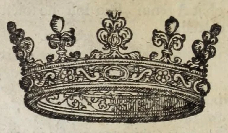 An illustration from Musaeum historicum et physicum, 1640, leaf 82