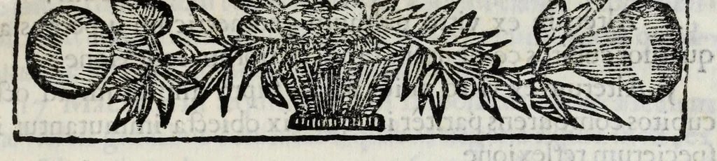 An illustration from Musaeum Septalianum : Manfredi Septalae patritij Mediolanensis industrioso labore constructum, 1664, leaf 15