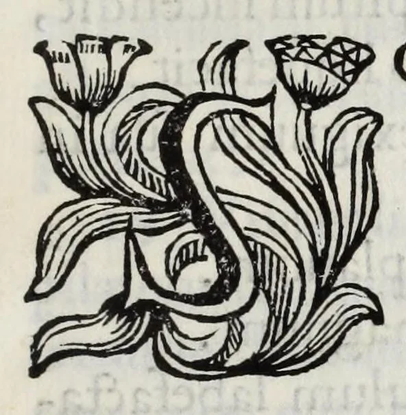 An illustration from Musaeum Septalianum : Manfredi Septalae patritij Mediolanensis industrioso labore constructum, 1664, leaf 15