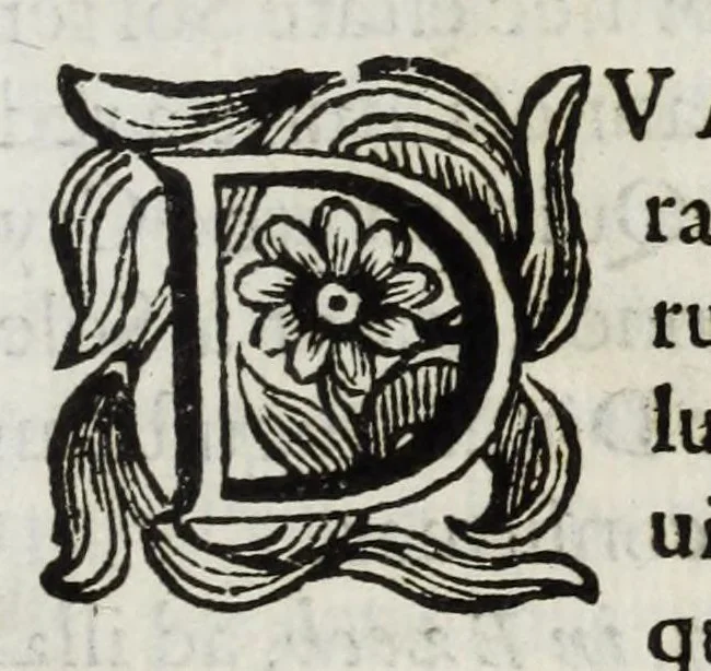 An illustration from Musaeum Septalianum : Manfredi Septalae patritij Mediolanensis industrioso labore constructum, 1664, leaf 255