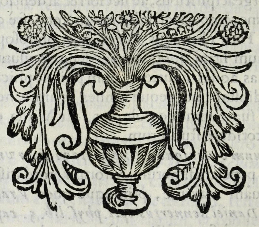 An illustration from Musaeum Septalianum : Manfredi Septalae patritij Mediolanensis industrioso labore constructum, 1664, leaf 298