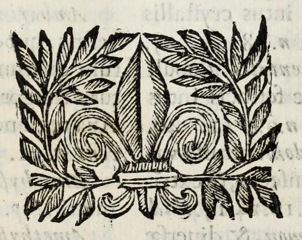 An illustration from Musaeum Septalianum : Manfredi Septalae patritij Mediolanensis industrioso labore constructum, 1664, leaf 307