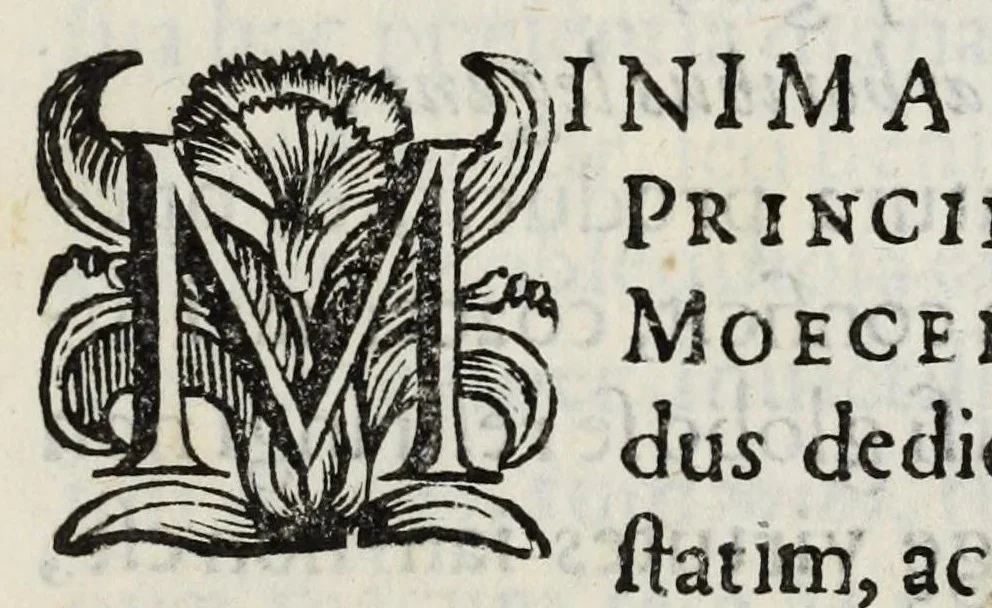 An illustration from Musaeum Septalianum : Manfredi Septalae patritij Mediolanensis industrioso labore constructum, 1664, leaf 9