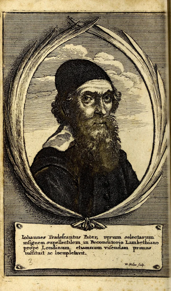 An illustration from Musaeum Tradescantianum, or, A collection of rarities preserved at South-Lambeth neer London, 1656, leaf 16