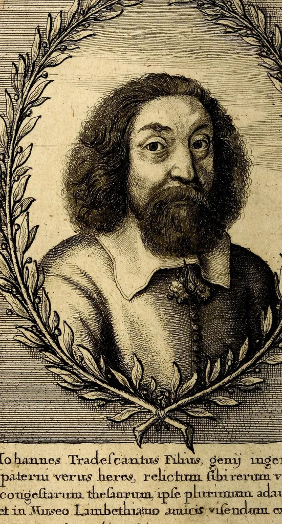 An illustration from Musaeum Tradescantianum, or, A collection of rarities preserved at South-Lambeth neer London, 1656, leaf 22