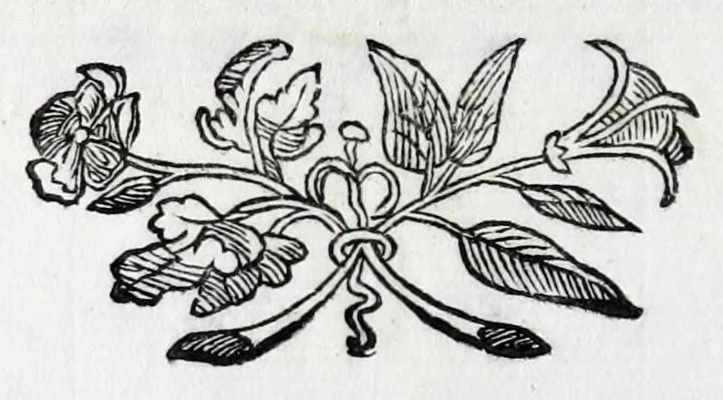 An illustration from Musarum plausus Perusii in augusto D. Petri Monast.o Congregationis Casinensis ad anni MDCXLIII generalia patrum comitia excitatus, 1643, leaf 146