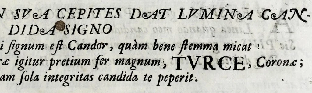 An illustration from Musarum plausus Perusii in augusto D. Petri Monast.o Congregationis Casinensis ad anni MDCXLIII generalia patrum comitia excitatus, 1643, leaf 47
