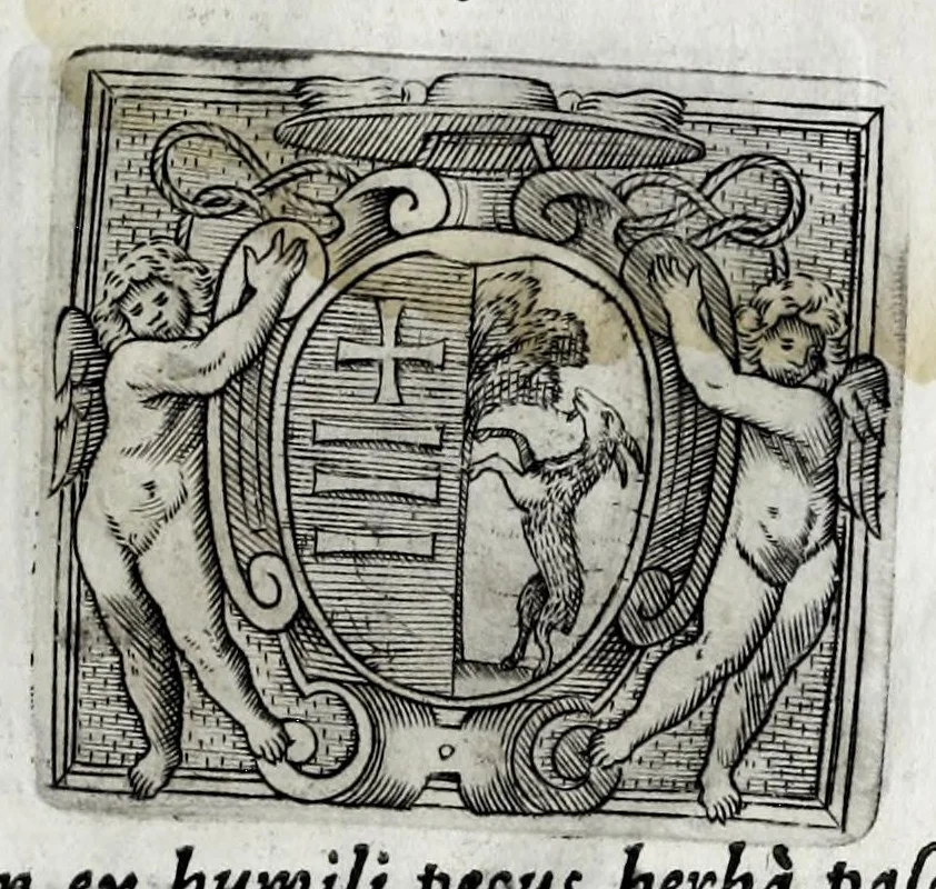 An illustration from Musarum plausus Perusii in augusto D. Petri Monast.o Congregationis Casinensis ad anni MDCXLIII generalia patrum comitia excitatus, 1643, leaf 71