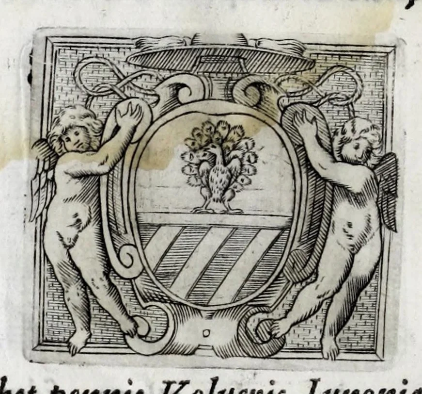 An illustration from Musarum plausus Perusii in augusto D. Petri Monast.o Congregationis Casinensis ad anni MDCXLIII generalia patrum comitia excitatus, 1643, leaf 74