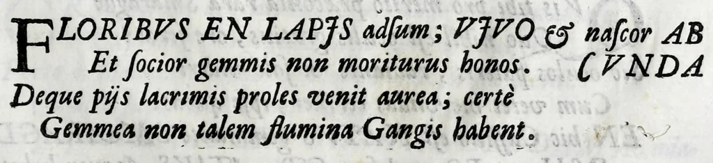 An illustration from Musarum plausus Perusii in augusto D. Petri Monast.o Congregationis Casinensis ad anni MDCXLIII generalia patrum comitia excitatus, 1643, leaf 91