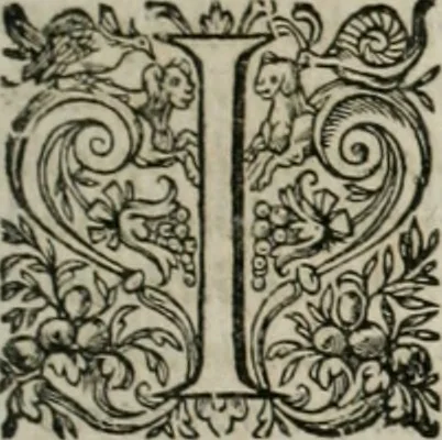 An illustration from Musei, siue Bibliothecae tam priuatae quàm publicae extructio, instructio, cura, vsus libri IV : accessit accurata descriptio Regiae bibliothecae S. Laurentii Escurialis : insuper Paraenesis allegorica ad amorem literarum : opus multiplici eruditione sacra simul et humana refertum, praeceptis moralibus et literariis, architecturae et picturae subiectionibus, inscriptionibus et emblematis, antiquitatis philologicae monumentis, atque oratoriis schematis utiliter et amoene tessellatum, 1635, leaf 12