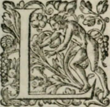 An illustration from Musei, siue Bibliothecae tam priuatae quàm publicae extructio, instructio, cura, vsus libri IV : accessit accurata descriptio Regiae bibliothecae S. Laurentii Escurialis : insuper Paraenesis allegorica ad amorem literarum : opus multiplici eruditione sacra simul et humana refertum, praeceptis moralibus et literariis, architecturae et picturae subiectionibus, inscriptionibus et emblematis, antiquitatis philologicae monumentis, atque oratoriis schematis utiliter et amoene tessellatum, 1635, leaf 314