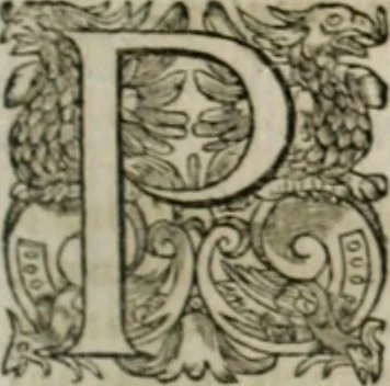 An illustration from Musei, siue Bibliothecae tam priuatae quàm publicae extructio, instructio, cura, vsus libri IV : accessit accurata descriptio Regiae bibliothecae S. Laurentii Escurialis : insuper Paraenesis allegorica ad amorem literarum : opus multiplici eruditione sacra simul et humana refertum, praeceptis moralibus et literariis, architecturae et picturae subiectionibus, inscriptionibus et emblematis, antiquitatis philologicae monumentis, atque oratoriis schematis utiliter et amoene tessellatum, 1635, leaf 506