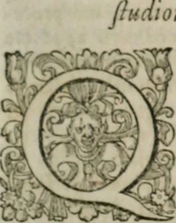 An illustration from Musei, siue Bibliothecae tam priuatae quàm publicae extructio, instructio, cura, vsus libri IV : accessit accurata descriptio Regiae bibliothecae S. Laurentii Escurialis : insuper Paraenesis allegorica ad amorem literarum : opus multiplici eruditione sacra simul et humana refertum, praeceptis moralibus et literariis, architecturae et picturae subiectionibus, inscriptionibus et emblematis, antiquitatis philologicae monumentis, atque oratoriis schematis utiliter et amoene tessellatum, 1635, leaf 566