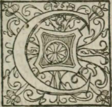 An illustration from Musei, siue Bibliothecae tam priuatae quàm publicae extructio, instructio, cura, vsus libri IV : accessit accurata descriptio Regiae bibliothecae S. Laurentii Escurialis : insuper Paraenesis allegorica ad amorem literarum : opus multiplici eruditione sacra simul et humana refertum, praeceptis moralibus et literariis, architecturae et picturae subiectionibus, inscriptionibus et emblematis, antiquitatis philologicae monumentis, atque oratoriis schematis utiliter et amoene tessellatum, 1635, leaf 612