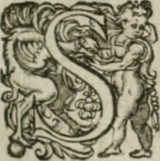 An illustration from Musei, siue Bibliothecae tam priuatae quàm publicae extructio, instructio, cura, vsus libri IV : accessit accurata descriptio Regiae bibliothecae S. Laurentii Escurialis : insuper Paraenesis allegorica ad amorem literarum : opus multiplici eruditione sacra simul et humana refertum, praeceptis moralibus et literariis, architecturae et picturae subiectionibus, inscriptionibus et emblematis, antiquitatis philologicae monumentis, atque oratoriis schematis utiliter et amoene tessellatum, 1635, leaf 624