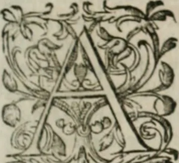 An illustration from Musei, siue Bibliothecae tam priuatae quàm publicae extructio, instructio, cura, vsus libri IV : accessit accurata descriptio Regiae bibliothecae S. Laurentii Escurialis : insuper Paraenesis allegorica ad amorem literarum : opus multiplici eruditione sacra simul et humana refertum, praeceptis moralibus et literariis, architecturae et picturae subiectionibus, inscriptionibus et emblematis, antiquitatis philologicae monumentis, atque oratoriis schematis utiliter et amoene tessellatum, 1635, leaf 630