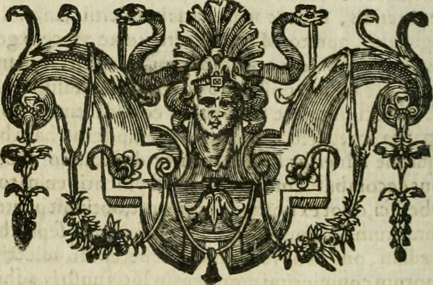 An illustration from Musei, siue Bibliothecae tam priuatae quàm publicae extructio, instructio, cura, vsus libri IV : accessit accurata descriptio Regiae bibliothecae S. Laurentii Escurialis : insuper Paraenesis allegorica ad amorem literarum : opus multiplici eruditione sacra simul et humana refertum, praeceptis moralibus et literariis, architecturae et picturae subiectionibus, inscriptionibus et emblematis, antiquitatis philologicae monumentis, atque oratoriis schematis utiliter et amoene tessellatum, 1635, leaf 635