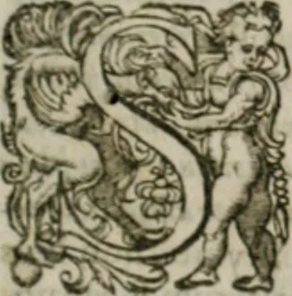 An illustration from Musei, siue Bibliothecae tam priuatae quàm publicae extructio, instructio, cura, vsus libri IV : accessit accurata descriptio Regiae bibliothecae S. Laurentii Escurialis : insuper Paraenesis allegorica ad amorem literarum : opus multiplici eruditione sacra simul et humana refertum, praeceptis moralibus et literariis, architecturae et picturae subiectionibus, inscriptionibus et emblematis, antiquitatis philologicae monumentis, atque oratoriis schematis utiliter et amoene tessellatum, 1635, leaf 664