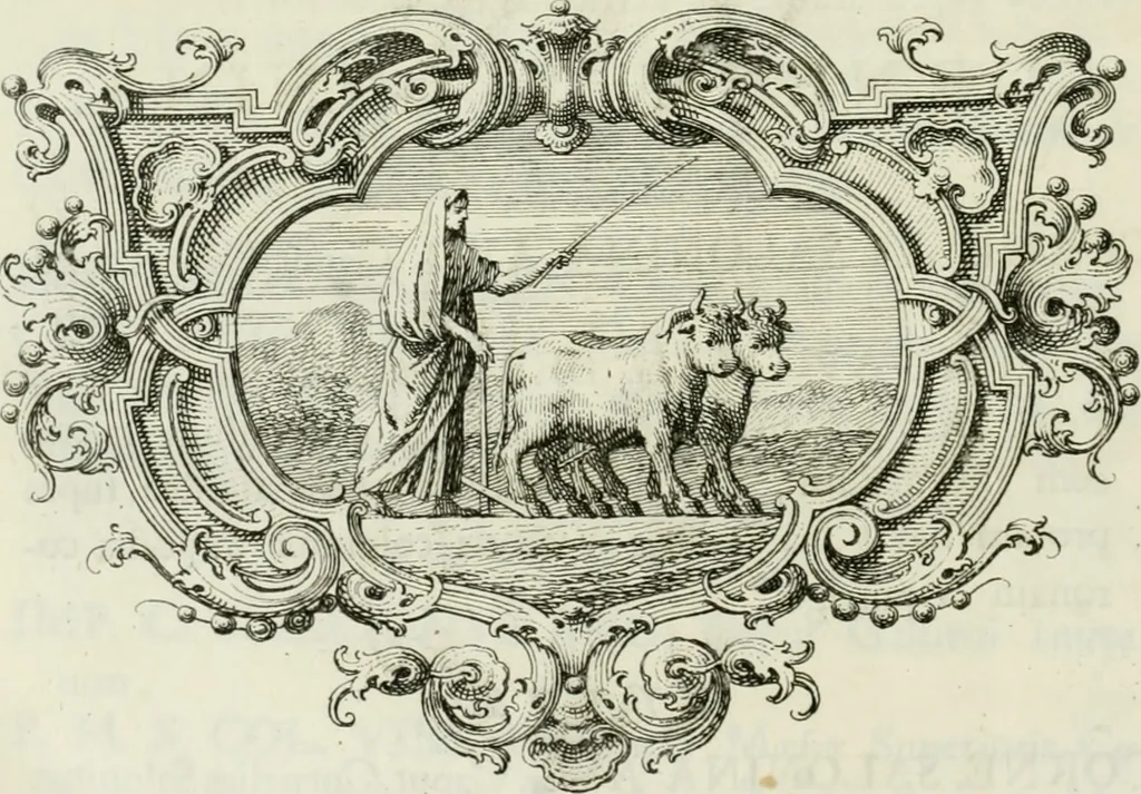 An illustration from Musei Theupoli : antiqua numismata olim collecta a Joanne Dominico Theupolo, 1736, leaf 781
