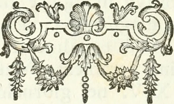 An illustration from Museo capitolino, o sia, Descrizione delle statue, busti, bassirilievi, urne sepolcrali, iscrizioni, ed altre ammirabili, ed erudite antichità, che si custodiscono nel palazzo alla destra del Senatorio vicino alla chiesa d'Araceli in Campidoglio, 1750, leaf 11