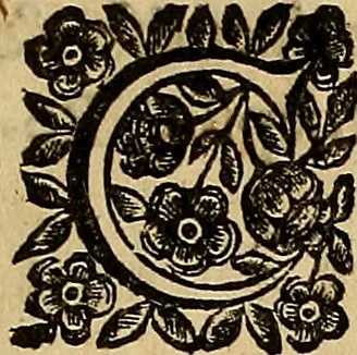 An illustration from Museo Cospiano : annesso a quello del famoso Vlisse Aldrovandi e donato alla sua patria dall' illustrissimo signor Ferdinando Cospi ..., fra' gli Accademici Gelati il Fedele, e principe al presente de' medesimi, 1677, leaf 10
