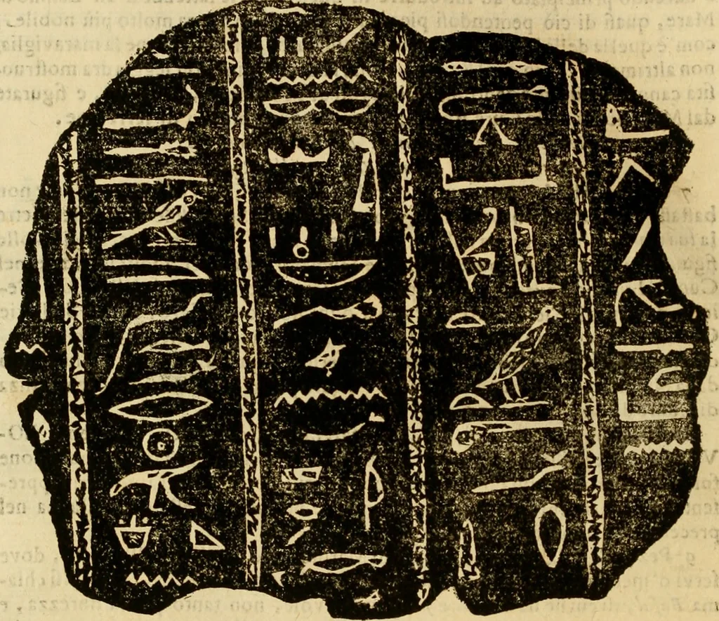 An illustration from Museo Cospiano : annesso a quello del famoso Vlisse Aldrovandi e donato alla sua patria dall' illustrissimo signor Ferdinando Cospi ..., fra' gli Accademici Gelati il Fedele, e principe al presente de' medesimi, 1677, leaf 195