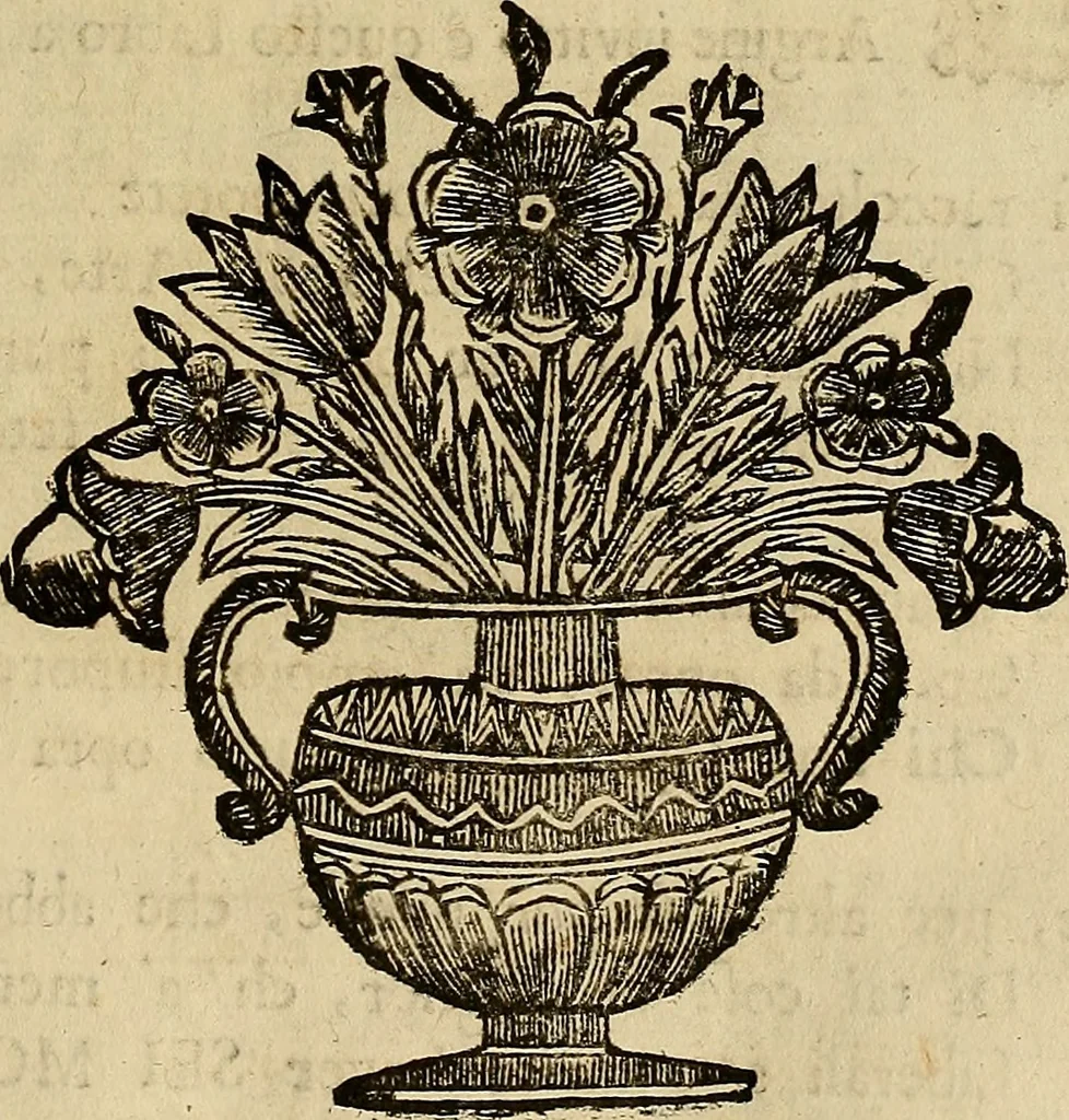An illustration from Museo Cospiano : annesso a quello del famoso Vlisse Aldrovandi e donato alla sua patria dall' illustrissimo signor Ferdinando Cospi ..., fra' gli Accademici Gelati il Fedele, e principe al presente de' medesimi, 1677, leaf 20