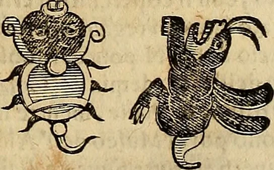 An illustration from Museo Cospiano : annesso a quello del famoso Vlisse Aldrovandi e donato alla sua patria dall' illustrissimo signor Ferdinando Cospi ..., fra' gli Accademici Gelati il Fedele, e principe al presente de' medesimi, 1677, leaf 220