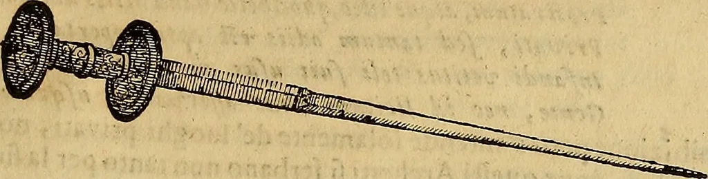 An illustration from Museo Cospiano : annesso a quello del famoso Vlisse Aldrovandi e donato alla sua patria dall' illustrissimo signor Ferdinando Cospi ..., fra' gli Accademici Gelati il Fedele, e principe al presente de' medesimi, 1677, leaf 282