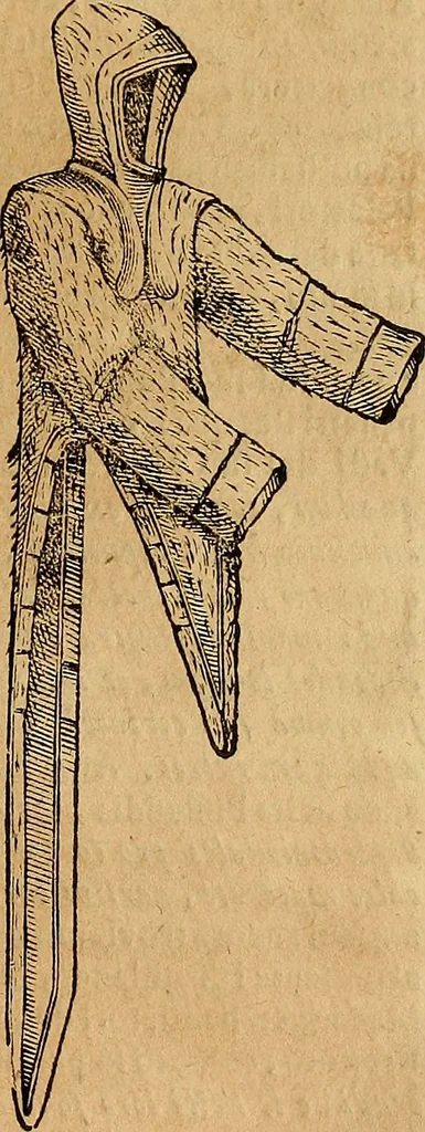 An illustration from Museo Cospiano : annesso a quello del famoso Vlisse Aldrovandi e donato alla sua patria dall' illustrissimo signor Ferdinando Cospi ..., fra' gli Accademici Gelati il Fedele, e principe al presente de' medesimi, 1677, leaf 338