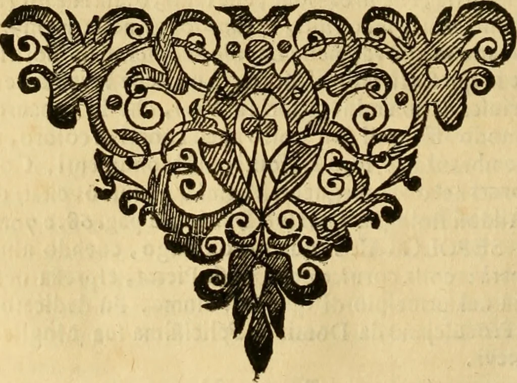 An illustration from Museo Cospiano : annesso a quello del famoso Vlisse Aldrovandi e donato alla sua patria dall' illustrissimo signor Ferdinando Cospi ..., fra' gli Accademici Gelati il Fedele, e principe al presente de' medesimi, 1677, leaf 379