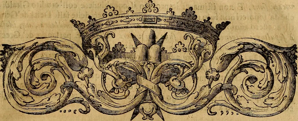 An illustration from Museo Cospiano : annesso a quello del famoso Vlisse Aldrovandi e donato alla sua patria dall' illustrissimo signor Ferdinando Cospi ..., fra' gli Accademici Gelati il Fedele, e principe al presente de' medesimi, 1677, leaf 496