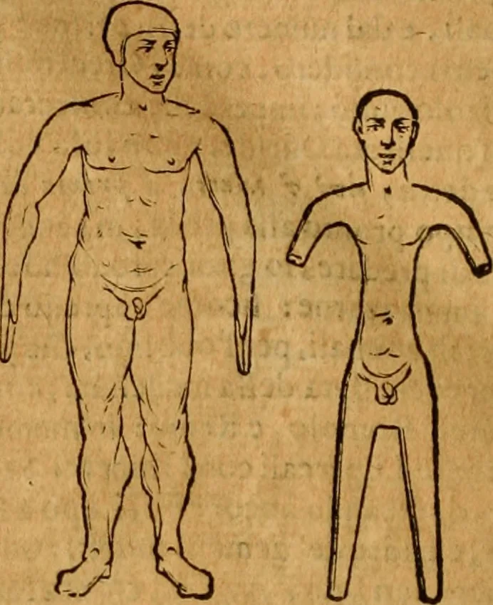 An illustration from Museo Cospiano : annesso a quello del famoso Vlisse Aldrovandi e donato alla sua patria dall' illustrissimo signor Ferdinando Cospi ..., fra' gli Accademici Gelati il Fedele, e principe al presente de' medesimi, 1677, leaf 509