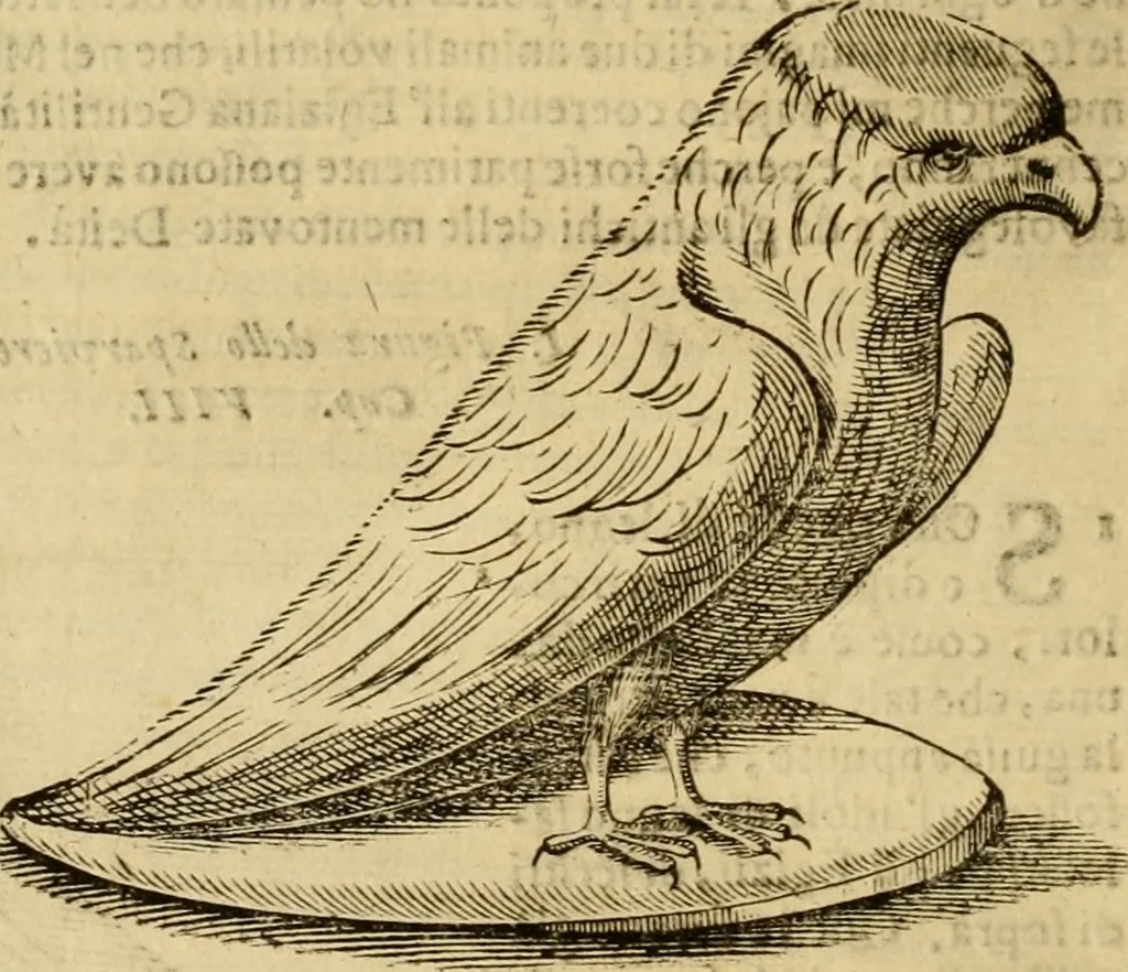 An illustration from Museo Cospiano : annesso a quello del famoso Vlisse Aldrovandi e donato alla sua patria dall' illustrissimo signor Ferdinando Cospi ..., fra' gli Accademici Gelati il Fedele, e principe al presente de' medesimi, 1677, leaf 511