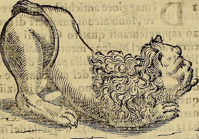 An illustration from Museo Cospiano : annesso a quello del famoso Vlisse Aldrovandi e donato alla sua patria dall' illustrissimo signor Ferdinando Cospi ..., fra' gli Accademici Gelati il Fedele, e principe al presente de' medesimi, 1677, leaf 516