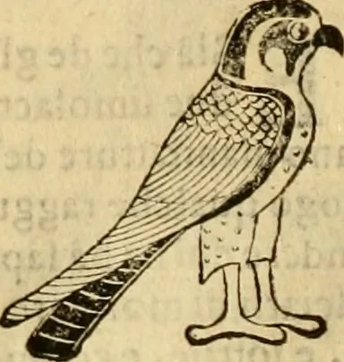 An illustration from Museo Cospiano : annesso a quello del famoso Vlisse Aldrovandi e donato alla sua patria dall' illustrissimo signor Ferdinando Cospi ..., fra' gli Accademici Gelati il Fedele, e principe al presente de' medesimi, 1677, leaf 519