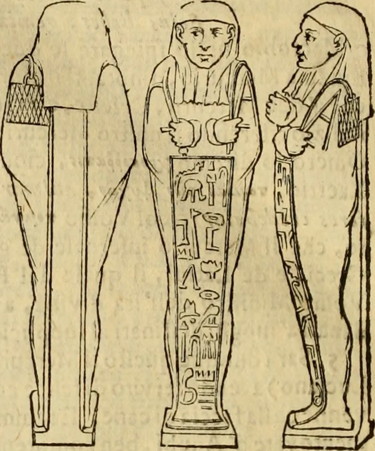 An illustration from Museo Cospiano : annesso a quello del famoso Vlisse Aldrovandi e donato alla sua patria dall' illustrissimo signor Ferdinando Cospi ..., fra' gli Accademici Gelati il Fedele, e principe al presente de' medesimi, 1677, leaf 525